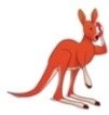 smallkanga.jpg